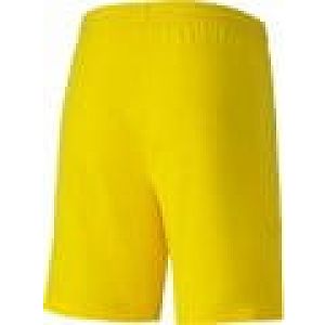 Puma TeamFINAL 21 Knit Short