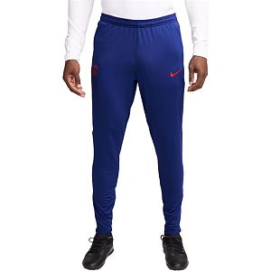 Nike Paris Saint Germain Pant